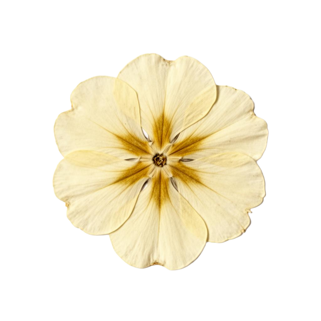Social Media Specialist flower